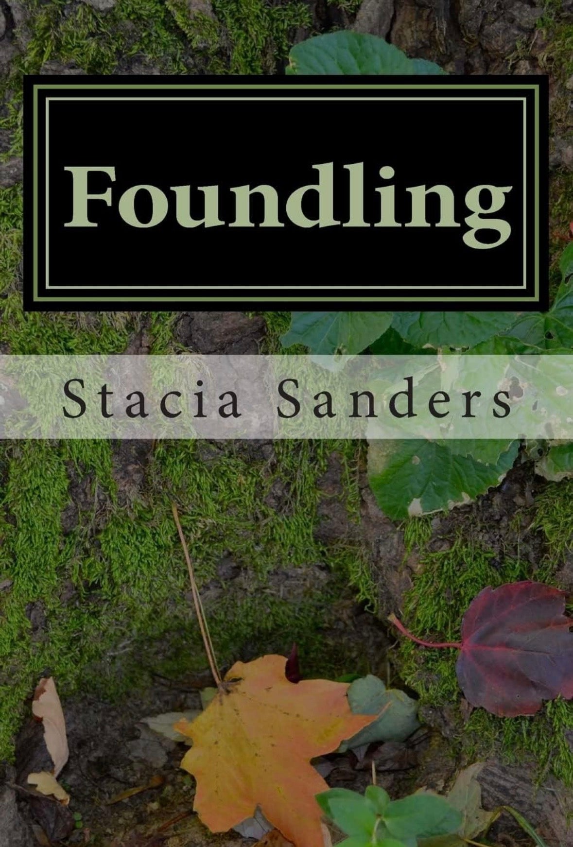 Foundling (Book 1) - Stacia Sanders