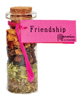 Friendship Pocket Spell